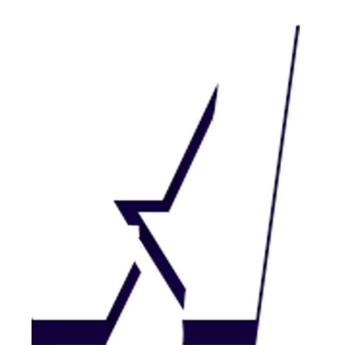 STZ Logo
